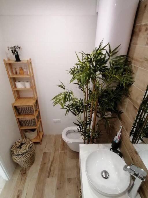 Appartamento Superbe Studio Ethnique Hyères Esterno foto