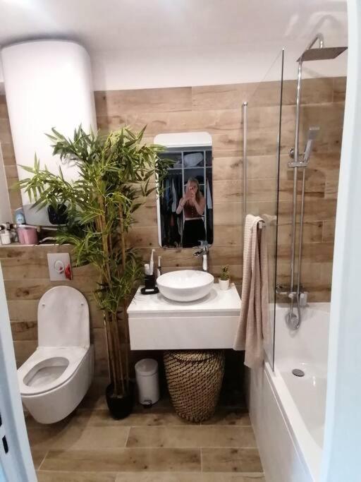 Appartamento Superbe Studio Ethnique Hyères Esterno foto